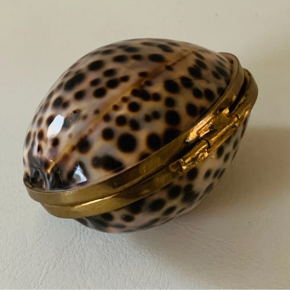 Shell trinket box with brass rim